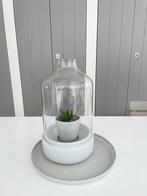 Glazen stolp &K Amsterdam ( Loft the store), Ophalen, Zo goed als nieuw