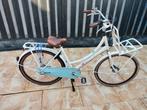 Cortina transport fiets, Fietsen en Brommers, Fietsen | Dames | Damesfietsen, Ophalen, Gebruikt