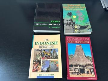 Diverse Indonesische reisgidsen en woordenboek beschikbaar voor biedingen