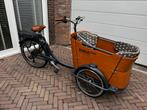 Babboe e-curve met certificaat, Ophalen, Gebruikt, 4 kinderen of meer