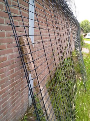Laatste enkeldraads hekken  beschikbaar voor biedingen