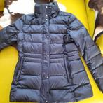 Tommy hilfiger maat xl, Kleding | Dames, Jassen | Winter, Ophalen of Verzenden, Zo goed als nieuw, Maat 46/48 (XL) of groter