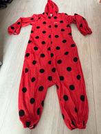 Lady bug verkleedpak, Ophalen, Gebruikt, Meisje