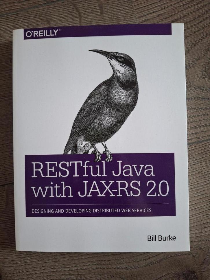 RESTful Java with RAX-JS 2.0, Boeken, Informatica en Computer, Zo goed als nieuw, Programmeertaal of Theorie, Ophalen