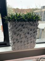 Grote stenen bloempot, Tuin en Terras, Bloempotten, Ophalen, Steen, Gebruikt, 40 cm of meer