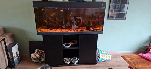 Aquarium 120 cm, Dieren en Toebehoren, Vissen | Aquaria en Toebehoren, Zo goed als nieuw, Gevuld zoetwateraquarium, Ophalen