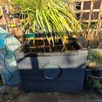 Hozelock terrasvijver 500 liter met oase biopress, Tuin en Terras, Vijver-toebehoren, Ophalen