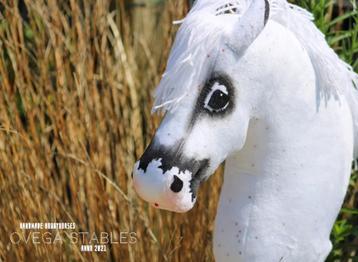 Hobbyhorse te koop beschikbaar voor biedingen
