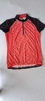 Wielrenhirt dames maat 40/42, Fietsen en Brommers, Ophalen, Gebruikt, M, Dames
