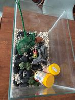 Gratis vissenkom met vissenvoer! Opzoek naar nieuwe eigenaar, Dieren en Toebehoren, Vissen | Aquaria en Toebehoren, Ophalen, Gebruikt