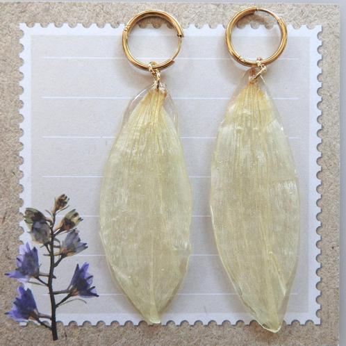 Witte Dahlia bloem blad oorbellen: echte gedroogde bloem, Sieraden, Tassen en Uiterlijk, Oorbellen, Nieuw, Hangers, Overige materialen