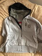 Dik vest Reject maat 48/50 (d30), Kleding | Heren, Ophalen of Verzenden, Gedragen, Maat 48/50 (M), Grijs