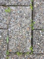 Gratis Af te Halen: 250m2 Klinkers + Opsluitbanden, Tuin en Terras, Tegels en Klinkers, Ophalen of Verzenden