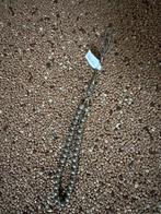 Zilveren Tesbih (Gebedsketting), Ophalen