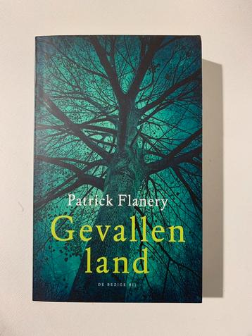 Patrick Flanery, Gevallen land, roman