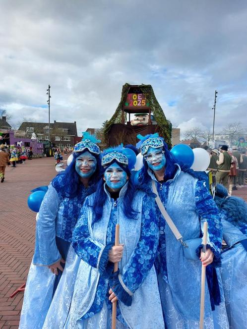 Prachtige loopgroep 17 personen, Kleding | Dames, Carnavalskleding en Feestkleding, Zo goed als nieuw, Ophalen of Verzenden