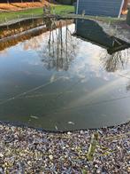 Complete vijver met apparatuur, Ophalen, Gebruikt