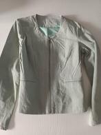 Mooie suède jas, Maat 42/44 (L), Ophalen of Verzenden, Zo goed als nieuw, HEMA