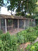 Gratis ophalen volière / kippen verblijf, Dieren en Toebehoren, Vogels | Hokken en Kooien, Ophalen, Gebruikt, Hout, Volière
