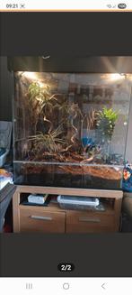 Terrarium groot, Dieren en Toebehoren, Ophalen
