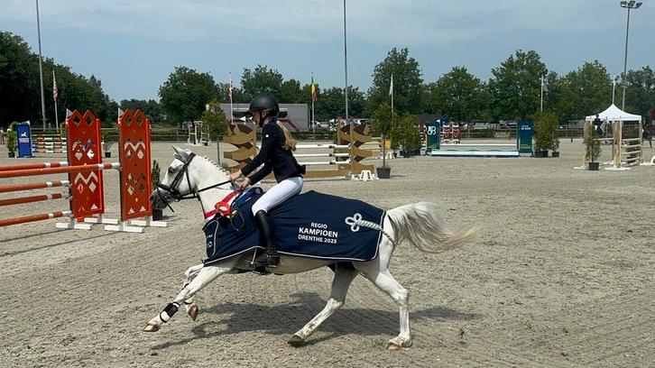 Sportieve pony te koop, Dieren en Toebehoren, Pony's, Merrie, L, B pony (1.17m tot 1.27m), 11 jaar of ouder