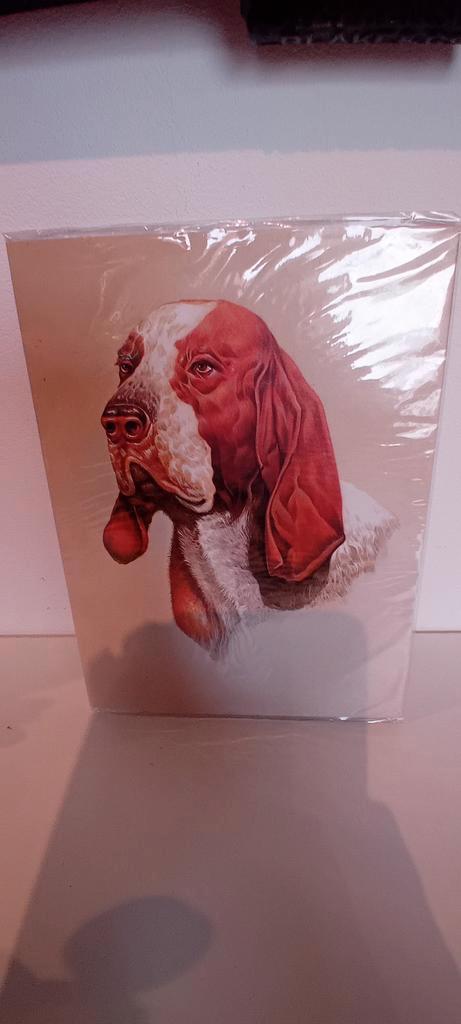 Honden postpapier set, Antiek en Kunst, Kunst | Tekeningen en Foto's, Ophalen of Verzenden