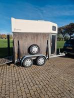 Een nette paardentrailer, Dieren en Toebehoren, Ruin, Recreatiepaard