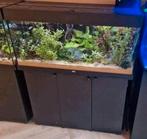 Juwel Rio 180L aquarium + meubel | Zeer compleet, Dieren en Toebehoren, Ophalen, Zo goed als nieuw, Gevuld zoetwateraquarium