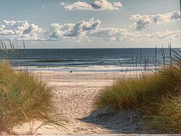 Uitzicht op zee…. beschikbaar voor biedingen