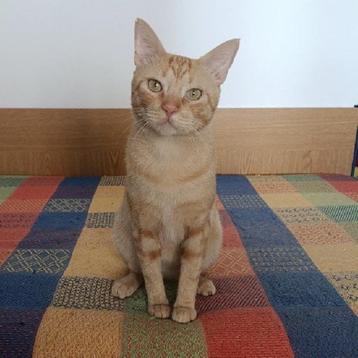 ACE: Muybueno is nog wat terughoudend beschikbaar voor biedingen