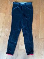 Euro-star  heren rijbroek Nieuw, Dieren en Toebehoren, Heren, Nieuw, Overige soorten, Onderkleding