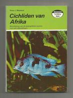 Cichliden van Afrika - Hans J. Mayland, Ophalen of Verzenden, Zo goed als nieuw, Vissen