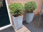 grijze potten  met laurier, Tuin en Terras, Bloembakken en Plantenbakken, Ophalen of Verzenden, Zo goed als nieuw, Steen