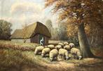 schilderij met drentse Schapen, Huis en Inrichting, Woonaccessoires | Schilderijen, Tekeningen en Foto's, Ophalen of Verzenden