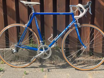 Gazelle GoldLine - Ultegra beschikbaar voor biedingen