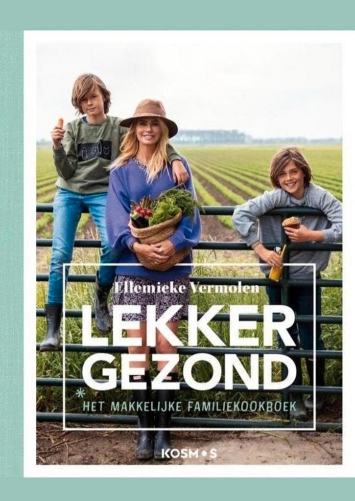 Lekker gezond! - Ellemieke Vermolen, Boeken, Kookboeken, Zo goed als nieuw, Hoofdgerechten, Verzenden