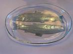 PRACHTIGE glazen VISSCHAAL VOOR SIER OF GEBRUIK 31x21 cm, Glas of Glazen, Ophalen of Verzenden, Overige stijlen, Glas