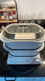 Stoom koker compleet met boekje   (Braun MultiGourmet), Ophalen of Verzenden, Gebruikt