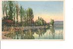 Ansichtkaart 	Bomen bij meer, Verzenden, 1920 tot 1940, Gelopen, Natuur