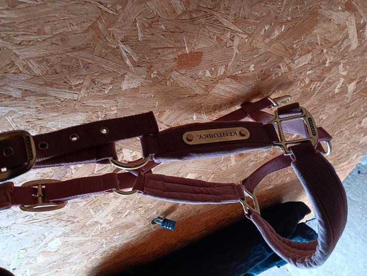 Velvet roze kentucky halster full, Dieren en Toebehoren, Paarden en Pony's | Hoofdstellen en Tuigage, Zo goed als nieuw, Overige soorten