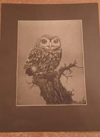 Een oude Litho van Henri Verstijnen van 1882-1940., Antiek en Kunst, Ophalen of Verzenden