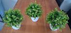 3 witte potjes met kunstplanten hoog 28 cm., Ophalen of Verzenden, Overige soorten, Halfschaduw, Minder dan 100 cm