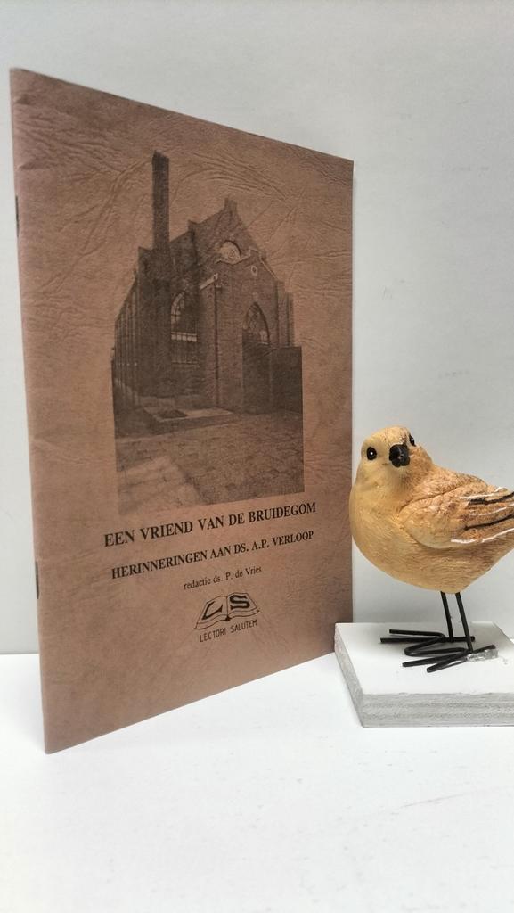 Vries, Ds. P. de; Een vriend van de Bruidegom, Boeken, Godsdienst en Theologie, Gelezen, Christendom | Protestants, Ophalen of Verzenden