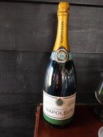 dummy Napoléon champagne, Ophalen of Verzenden, Nieuw, Frankrijk, Champagne