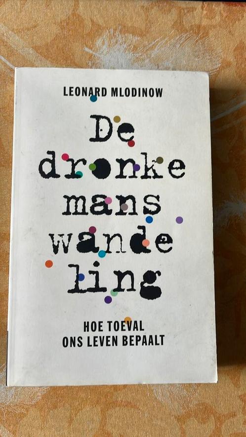 Leonard Mlodinow - De dronkemanswandeling, Boeken, Economie, Management en Marketing, Zo goed als nieuw, Ophalen of Verzenden