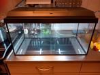 Aquarium, compleet met filtertje en verwarming €60,-, Dieren en Toebehoren, Ophalen, Zo goed als nieuw, Leeg aquarium