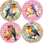 CD354 ouwel vogels 20x4,7cm eetbare cupcake rondjes vers, Nieuw, Versiering, Cupcakes, Ophalen of Verzenden