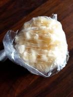 Waterkefir korrels, biologisch gevoed, Diversen, Levensmiddelen, Ophalen