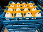 Kop en schotels in kratten, Huis en Inrichting, Keuken | Servies, Ophalen, Porselein, Overige stijlen, Kop(pen) en/of Schotel(s)