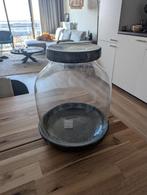 Ecosysteem Terrarium, Ophalen, Overige materialen, Minder dan 60 cm, Rond